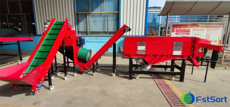 images/1755077152931procesamiento del ajo.jpg